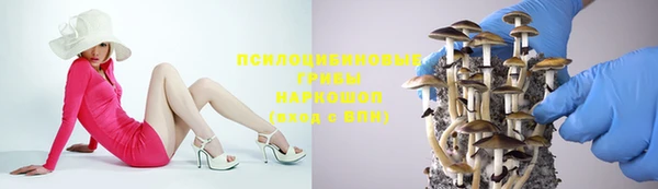 Альфа ПВП Аркадак