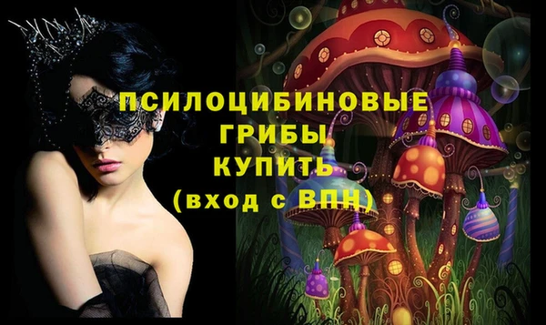 МДПВ Арсеньев