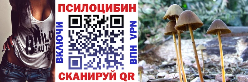 Галлюциногенные грибы MAGIC MUSHROOMS  Облучье 